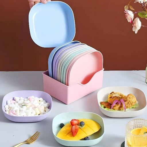 10 Pc colourful Plate Set with Stand