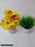 Plastic Artificial Plant For Decoration