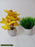 Plastic Artificial Plant For Decoration